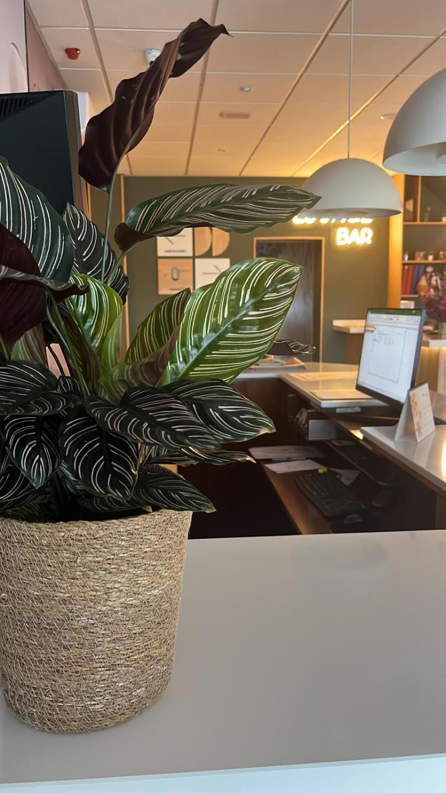 Venta de Baños Hotel La Basilica מראה חיצוני תמונה